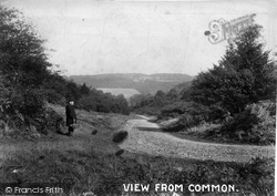 View From Common 1906, Ranmore Common