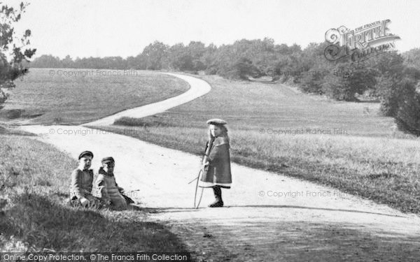 Photo of Ranmore Common, Young Children 1906