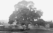 The Village 1913, Ravensworth