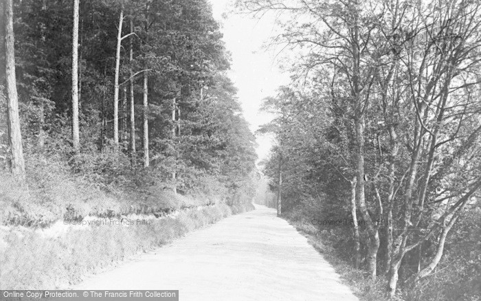 Photo of Reading, c.1900