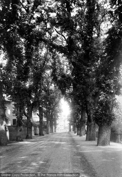 Photo of Reading, Coley Avenue 1893