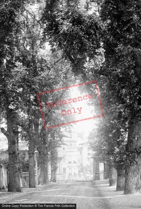 Photo of Reading, Coley Avenue 1893
