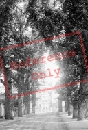 Coley Avenue 1893, Reading