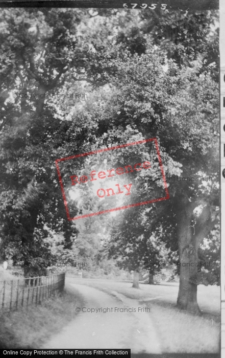 Photo of Reading, Prospect Park 1917