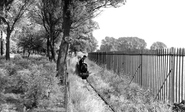 The Miniature Railway c.1952, Reading