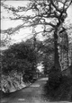 Batts Hill 1907, Redhill