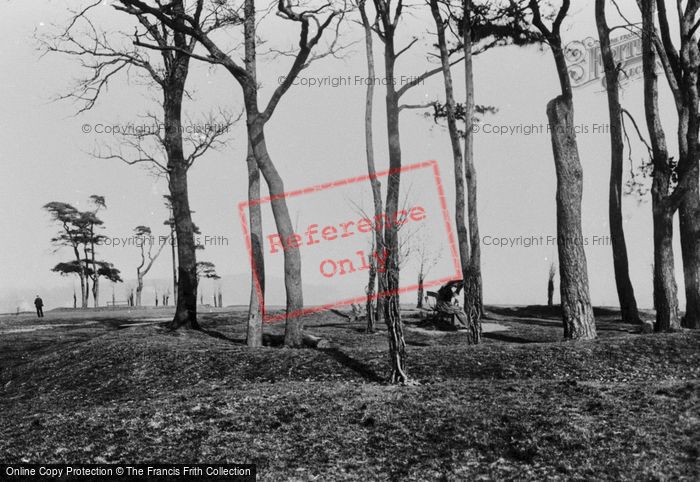 Photo of Redhill, Common 1886