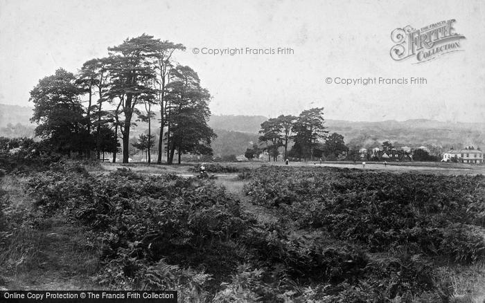 Photo of Redhill, Common 1910