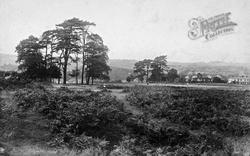 Common 1910, Redhill