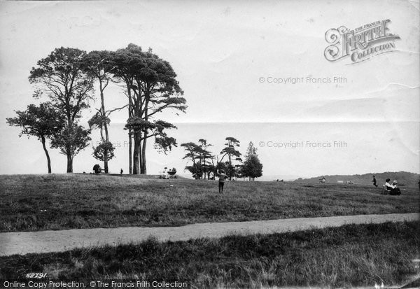Photo of Redhill, Common 1910