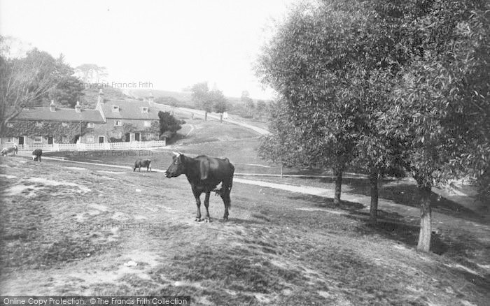 Photo of Redhill, Common 1915