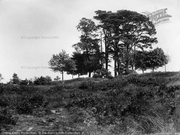 Photo of Redhill, Common 1928