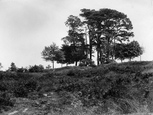 Common 1928, Redhill