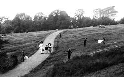 Kite Flying On The Common 1910, Redhill