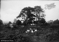 On The Common 1915, Redhill