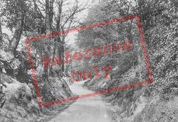 Philanthropic Lane 1919, Redhill