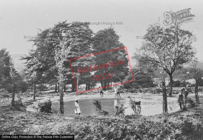 Photo of Redhill, Pond On The Common 1910
