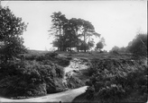 The Common 1915, Redhill