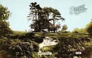 The Common 1915, Redhill
