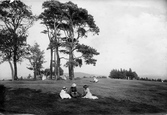The Common 1915, Redhill