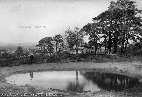 Photo of Redhill, View On The Common 1895