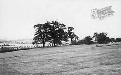 Cofton Park c.1960, Rednal