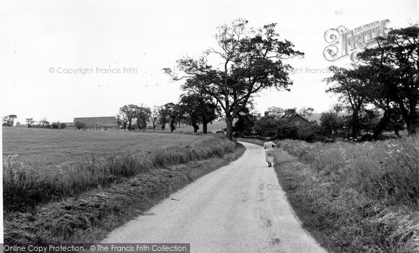Photo of Reedham, Buckenham Road c.1955