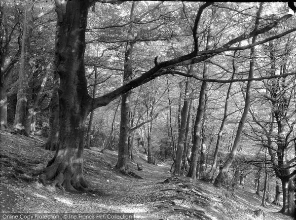 Photo of Reigate, Footpath To Wray Lane 1938