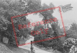 From The Castle Grounds 1886, Reigate