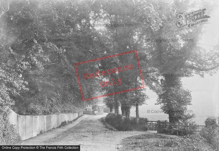 Photo of Reigate, Green Lane 1886