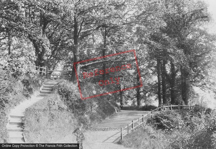 Photo of Reigate, Green Lane 1906