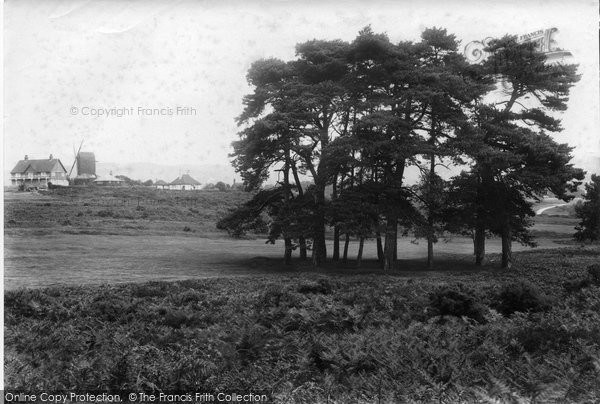 Photo of Reigate, Heath 1909