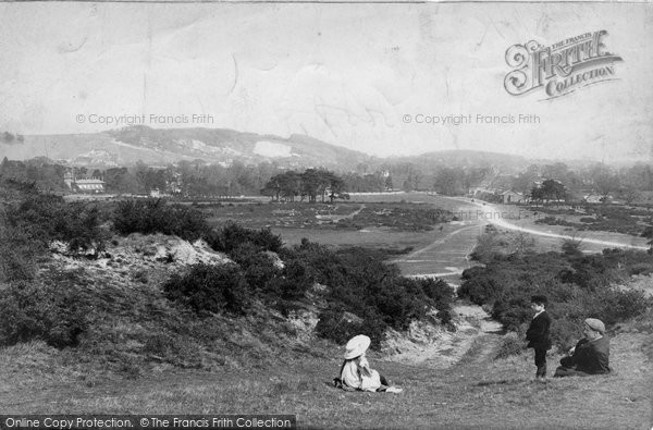Photo of Reigate, Heath, View From The Mill 1906