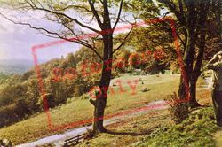 Hill c.1965, Reigate