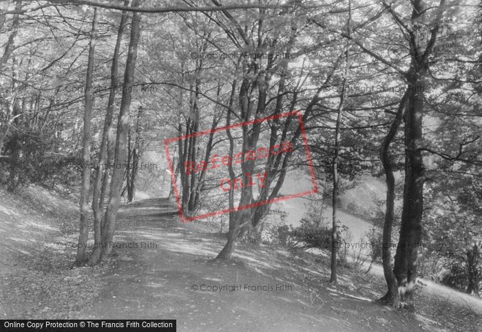 Photo of Reigate, Hill, Footpath To Wray Lane 1938