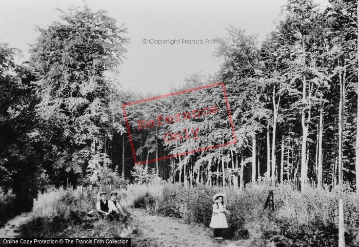 Photo of Reigate, Hill, The Beeches 1906