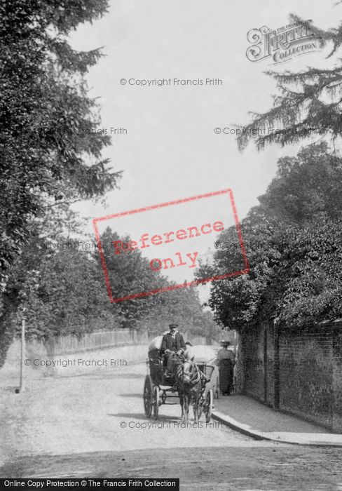 Photo of Reigate, Horse And Cart 1906