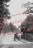 Horse And Cart 1906, Reigate