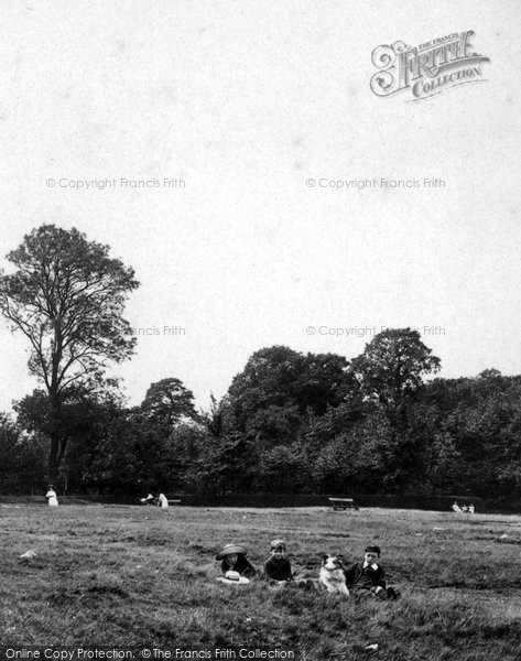 Photo of Reigate, On The Common 1910