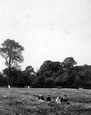 On The Common 1910, Reigate