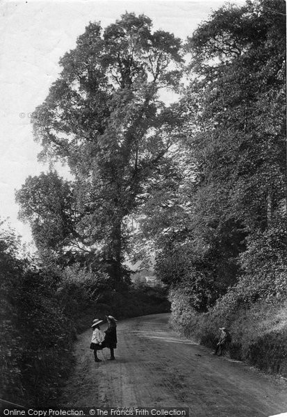 Photo of Reigate, Park Lane 1907
