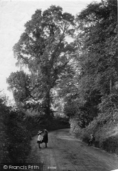 Park Lane 1907, Reigate