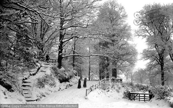 Photo of Reigate, Park Lane In The Snow c.1900