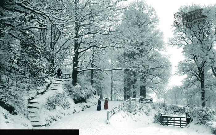 Photo of Reigate, Park Lane In The Snow c.1900