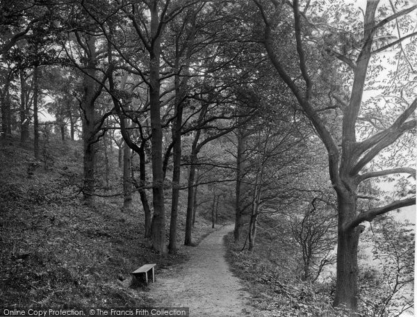Photo of Reigate, Park, South Side 1937