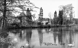 Priory, The Lake c.1955, Reigate