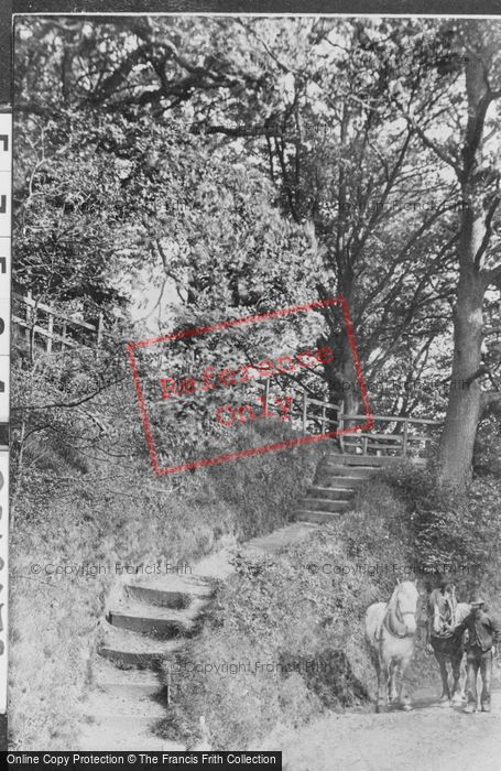 Photo of Reigate, Steps, Park Lane 1907