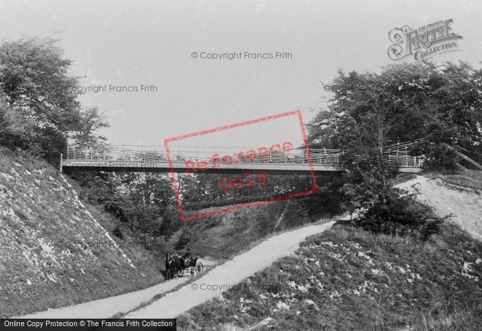 Photo of Reigate, Suspension Bridge 1886