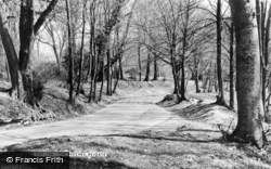 The Beeches c.1965, Reigate