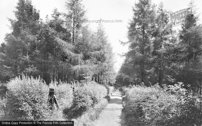 Photo of Reigate, The Copse 1910